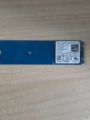 Western digital sn520 - western,